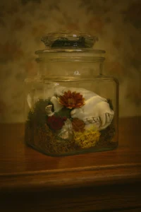 Handmade Apothecary Jar Terrarium with Skull, Moss & Crystals – Retro Hutch